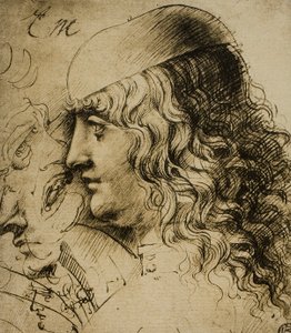 Study of a Masculine Head by Leonardo da Vinci